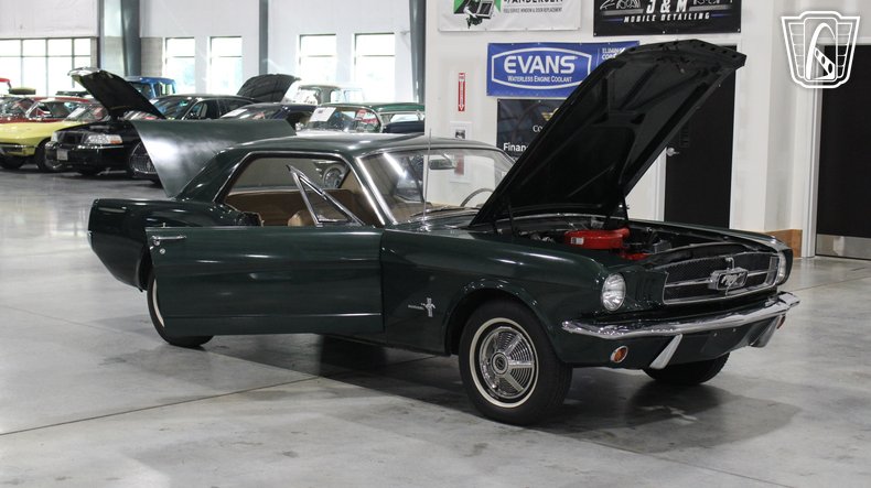 1965 Ford Mustang 96