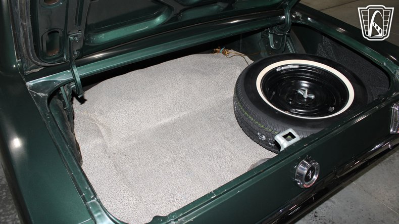 1965 Ford Mustang 101