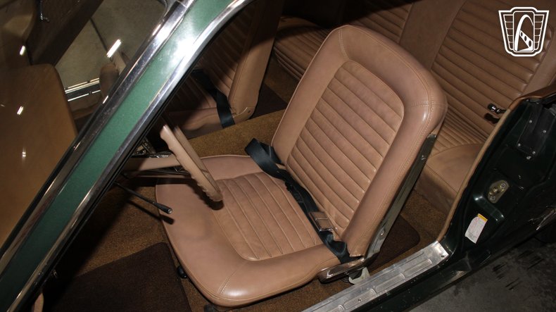 1965 Ford Mustang 110