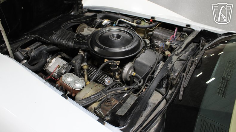 1979 Chevrolet Corvette 110