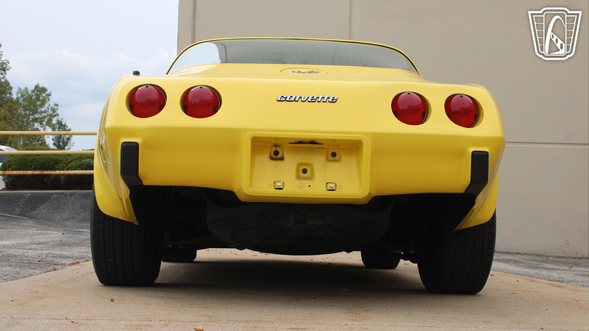 1979 Corvette picture #26