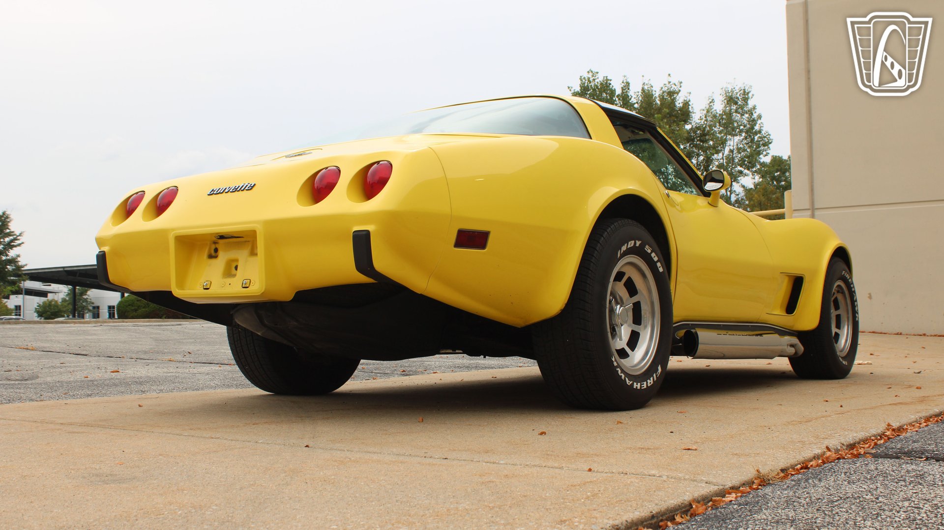 1979 Corvette picture #28