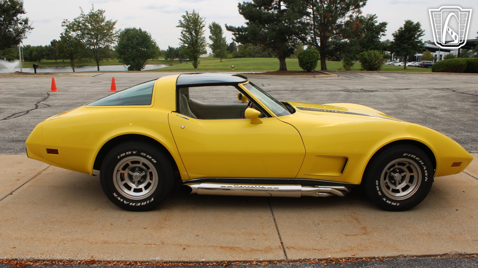 1979 Corvette picture #29