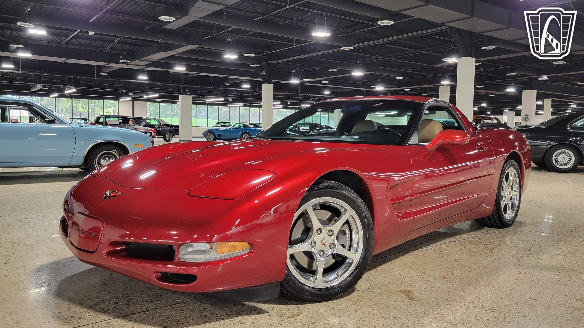 1999 Corvette picture #17