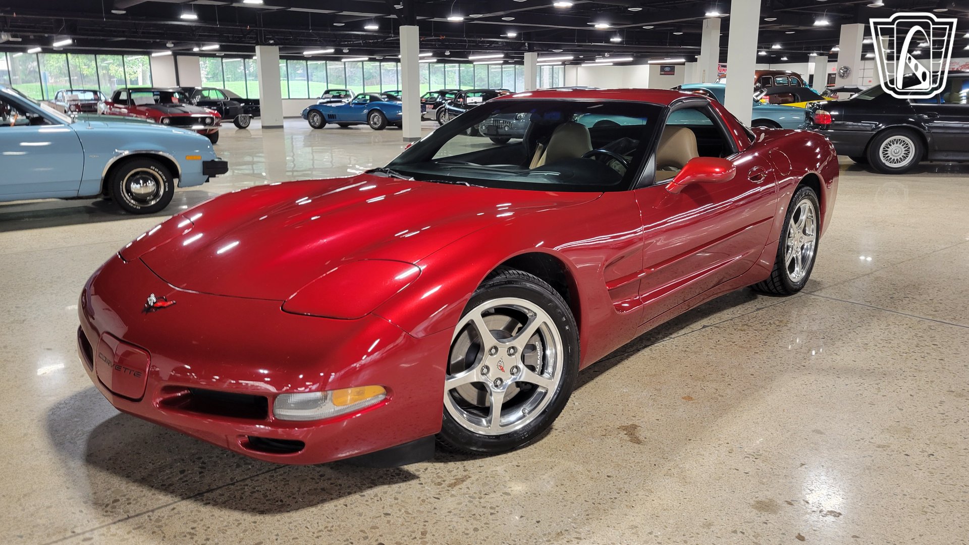 1999 Corvette picture #18