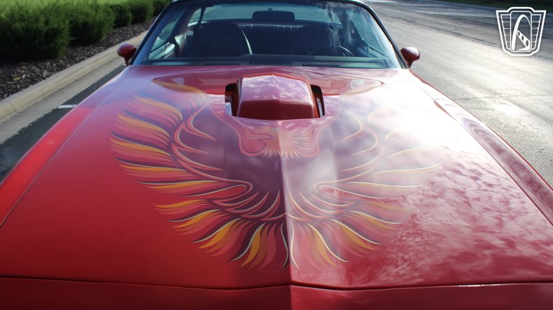 1979 Pontiac Trans Am 8
