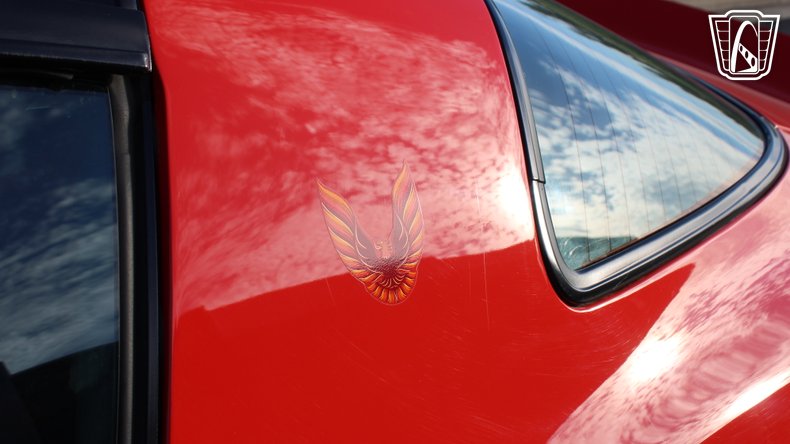 1979 Pontiac Trans Am 44