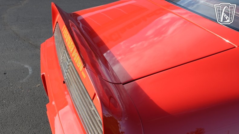 1979 Pontiac Trans Am 9