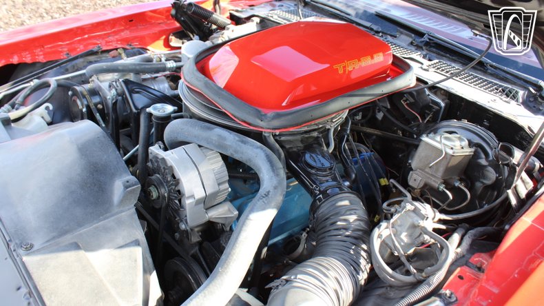 1979 Pontiac Trans Am 116