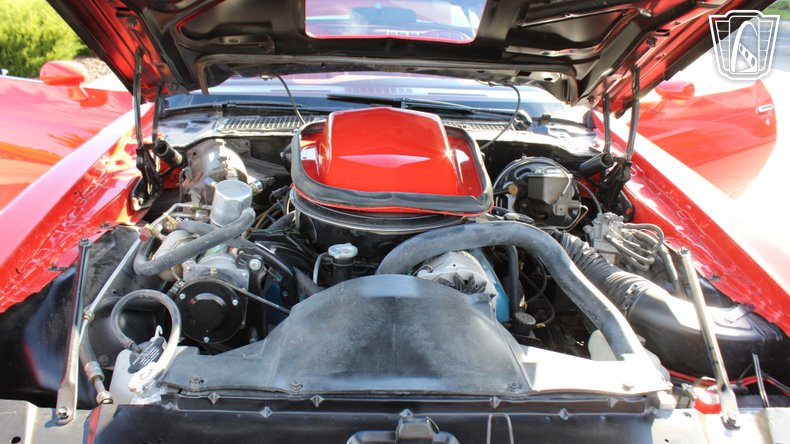 1979 Pontiac Trans Am 13