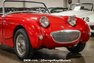 1960 Austin-Healey Bugeye