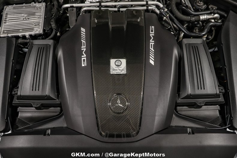2018 Mercedes-Benz AMG GT R 173