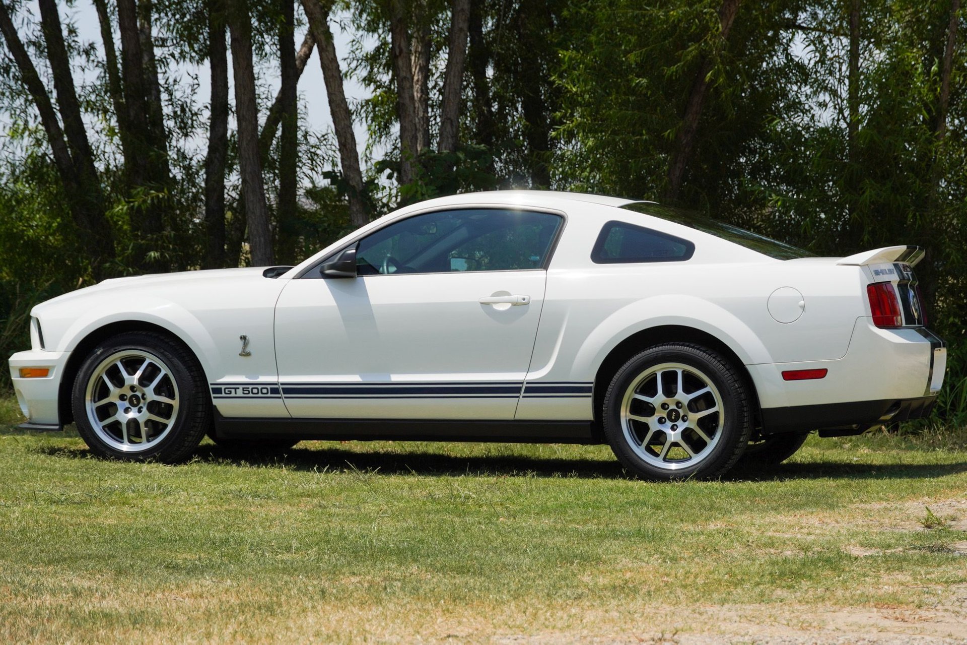 For Sale 2008 Ford Shelby