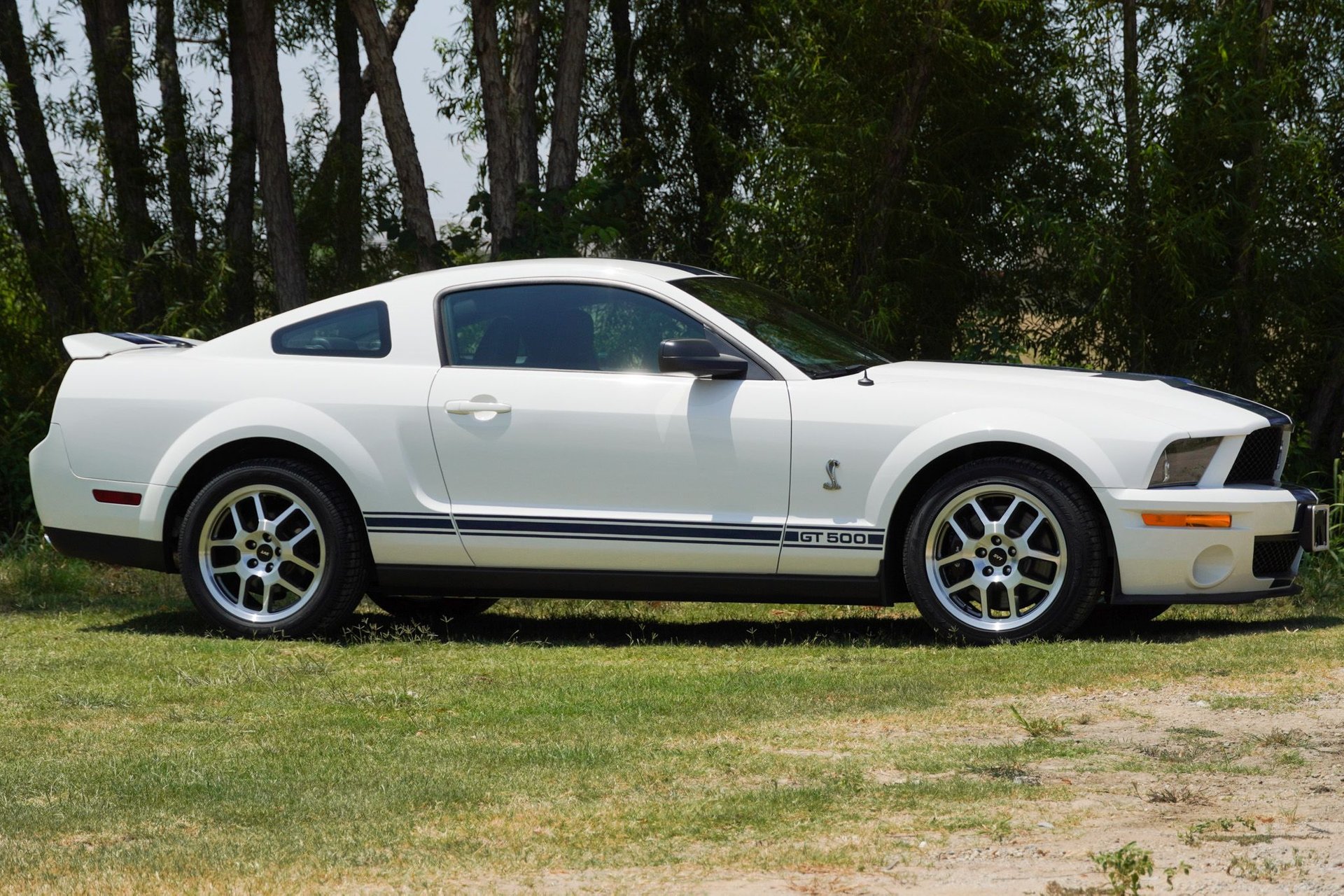 For Sale 2008 Ford Shelby