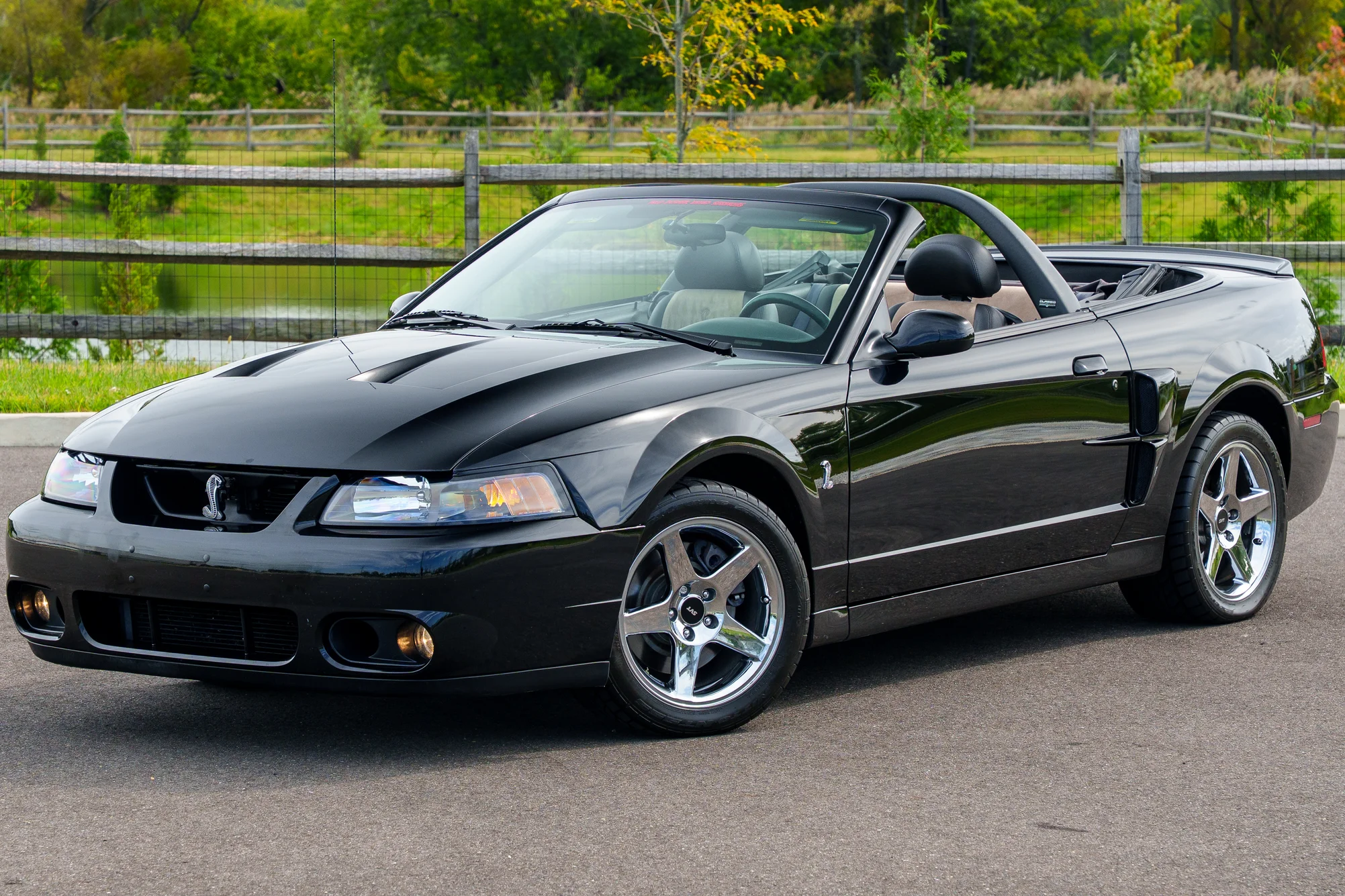 2003 Ford Mustang Cobra SVT
