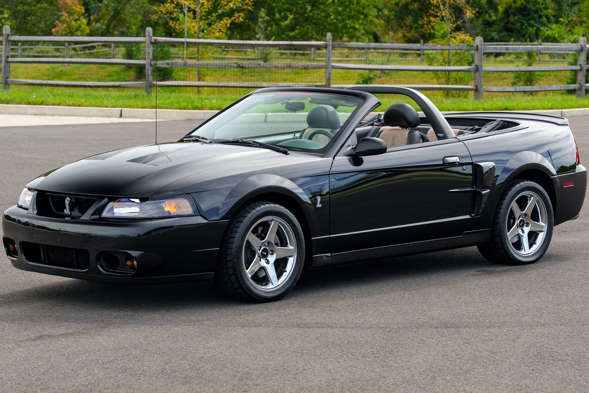 2003 Ford Mustang | King of Cars and Trucks