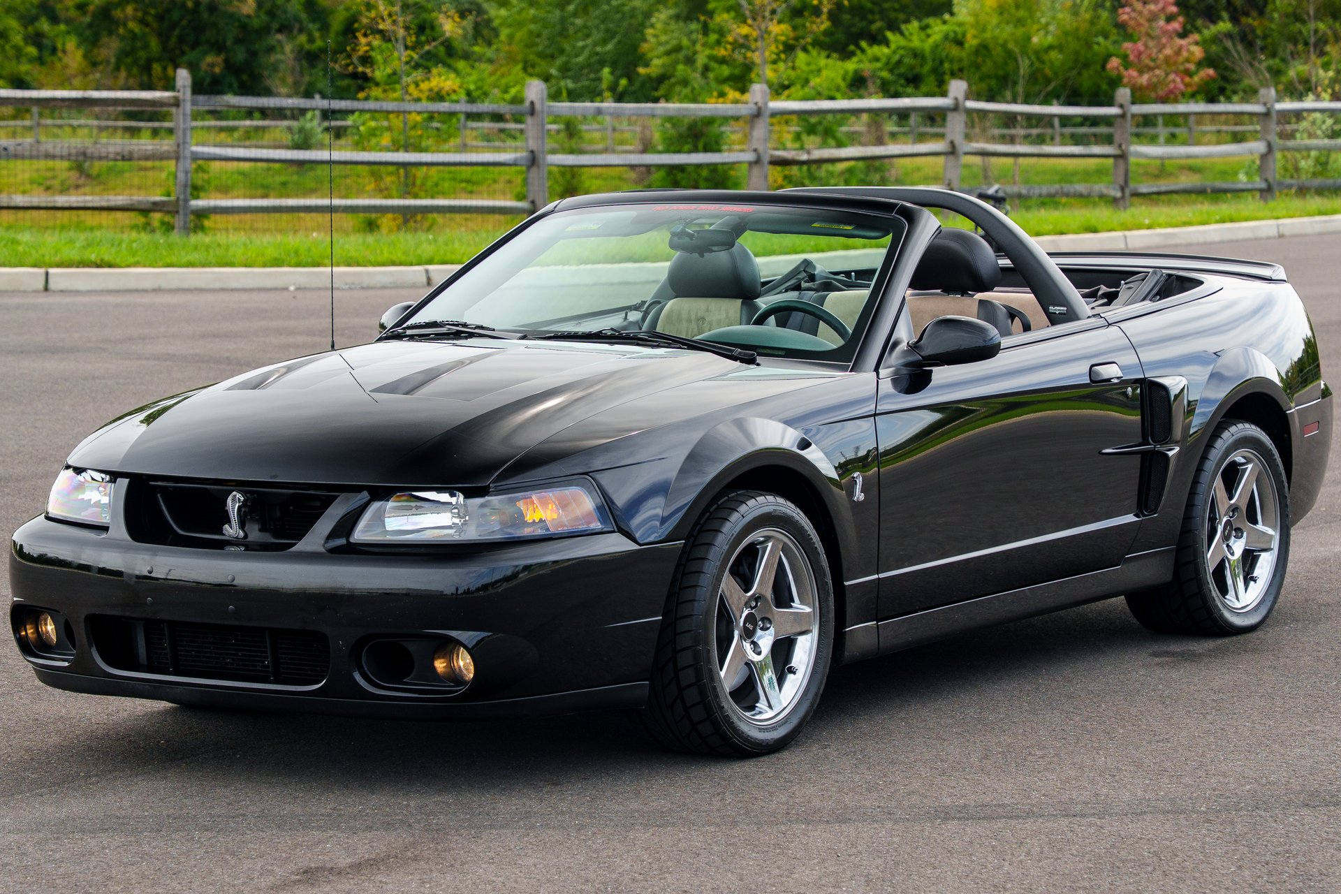 2003 Ford Mustang | King of Cars and Trucks