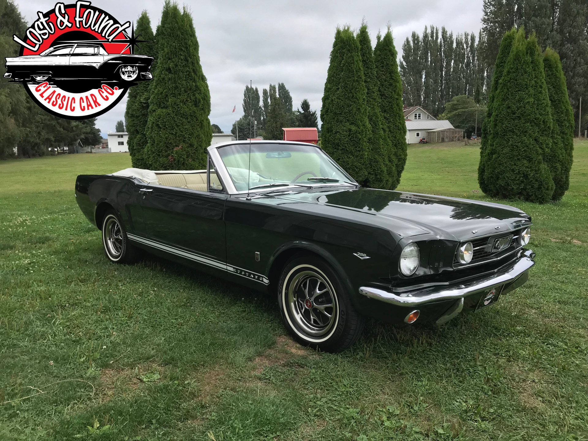 1966 Ford Mustang Convertible | Lost & Found Classic Car Co.