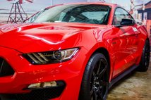 For Sale 2016 Ford Shelby GT350R