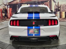 For Sale 2017 Ford Shelby GT350R