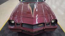 For Sale 1981 Chevrolet Camaro