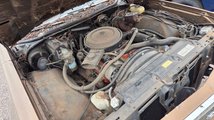 For Sale 1976 Chevrolet El Camino