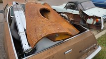 For Sale 1976 Chevrolet El Camino