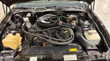 For Sale 1984 Pontiac Firebird