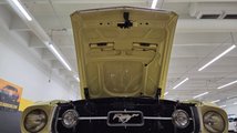 For Sale 1967 Ford Mustang