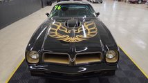 For Sale 1976 Pontiac Trans Am SE