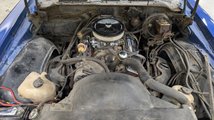 For Sale 1978 Pontiac Firebird