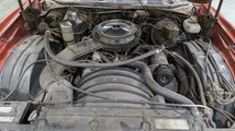 For Sale 1977 Chevrolet Monte Carlo