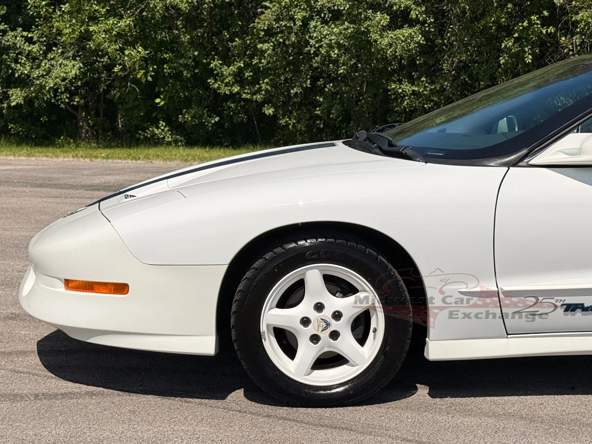 1994 Pontiac Firebird - Photo 10