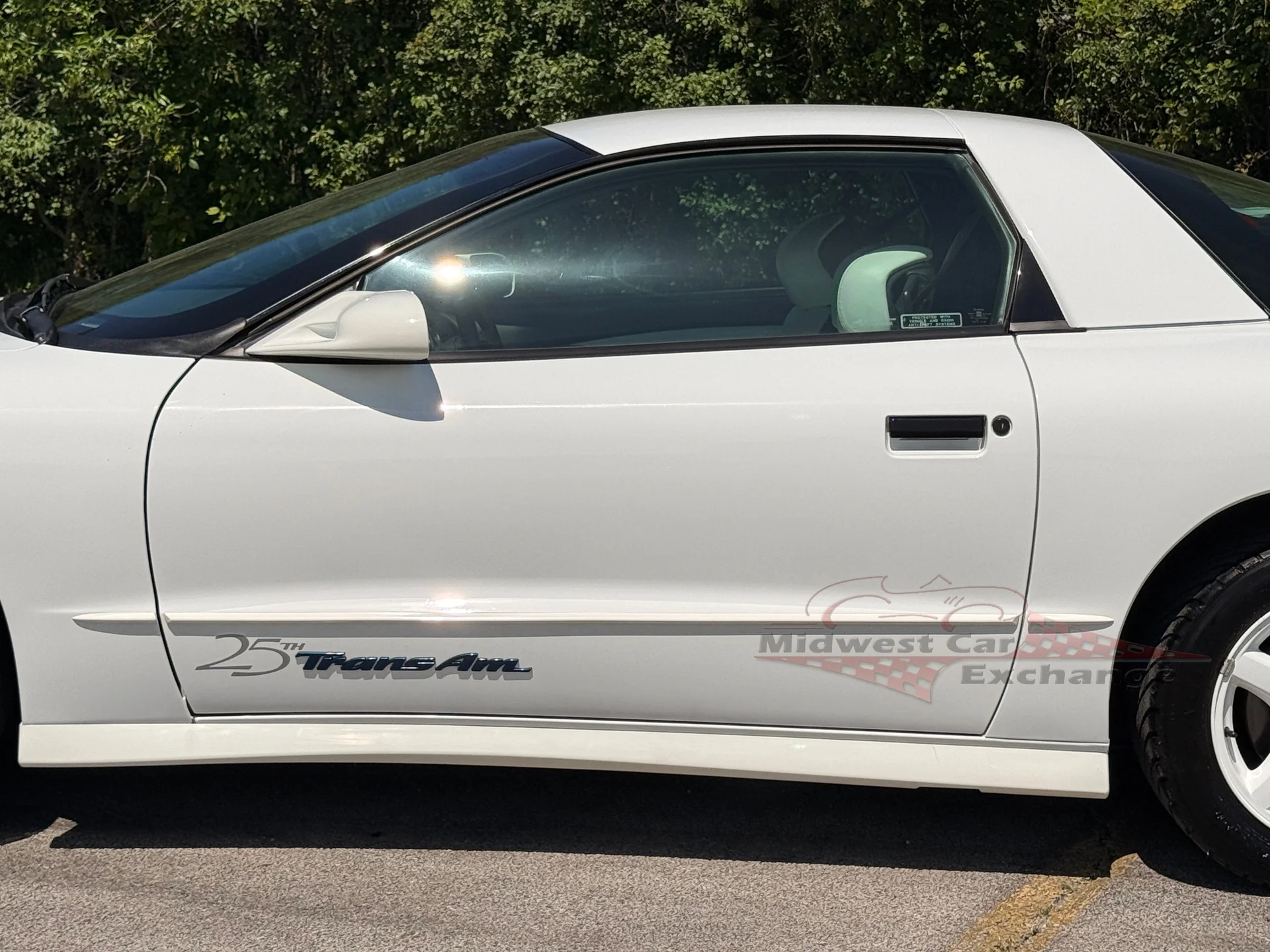 1994 Pontiac Firebird - Photo 11