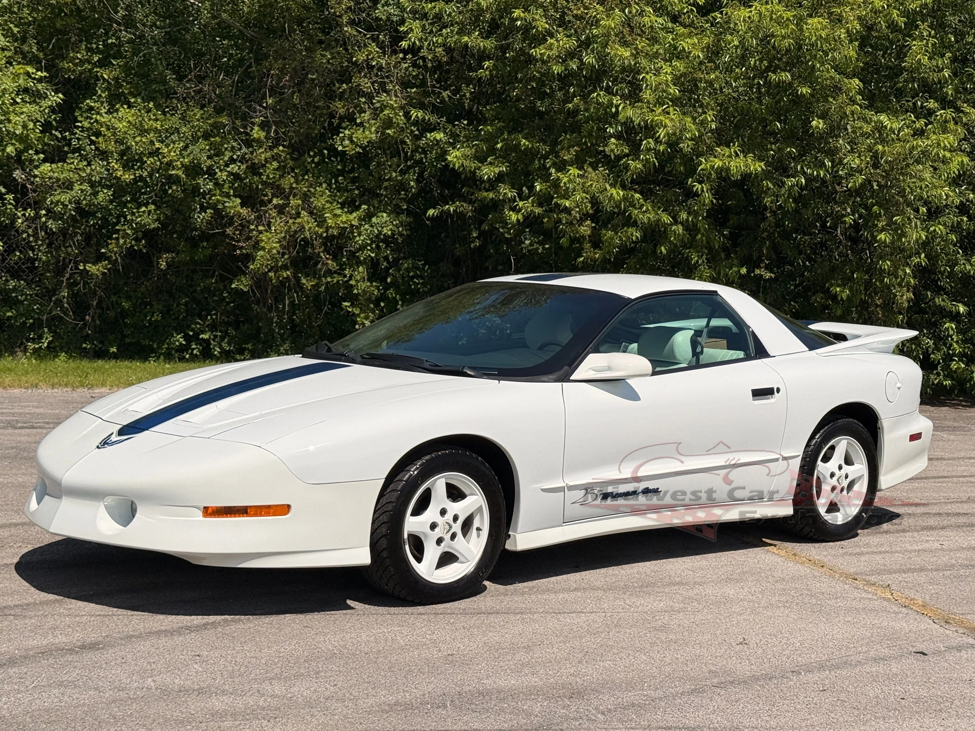 1994 Pontiac Firebird - Photo 8
