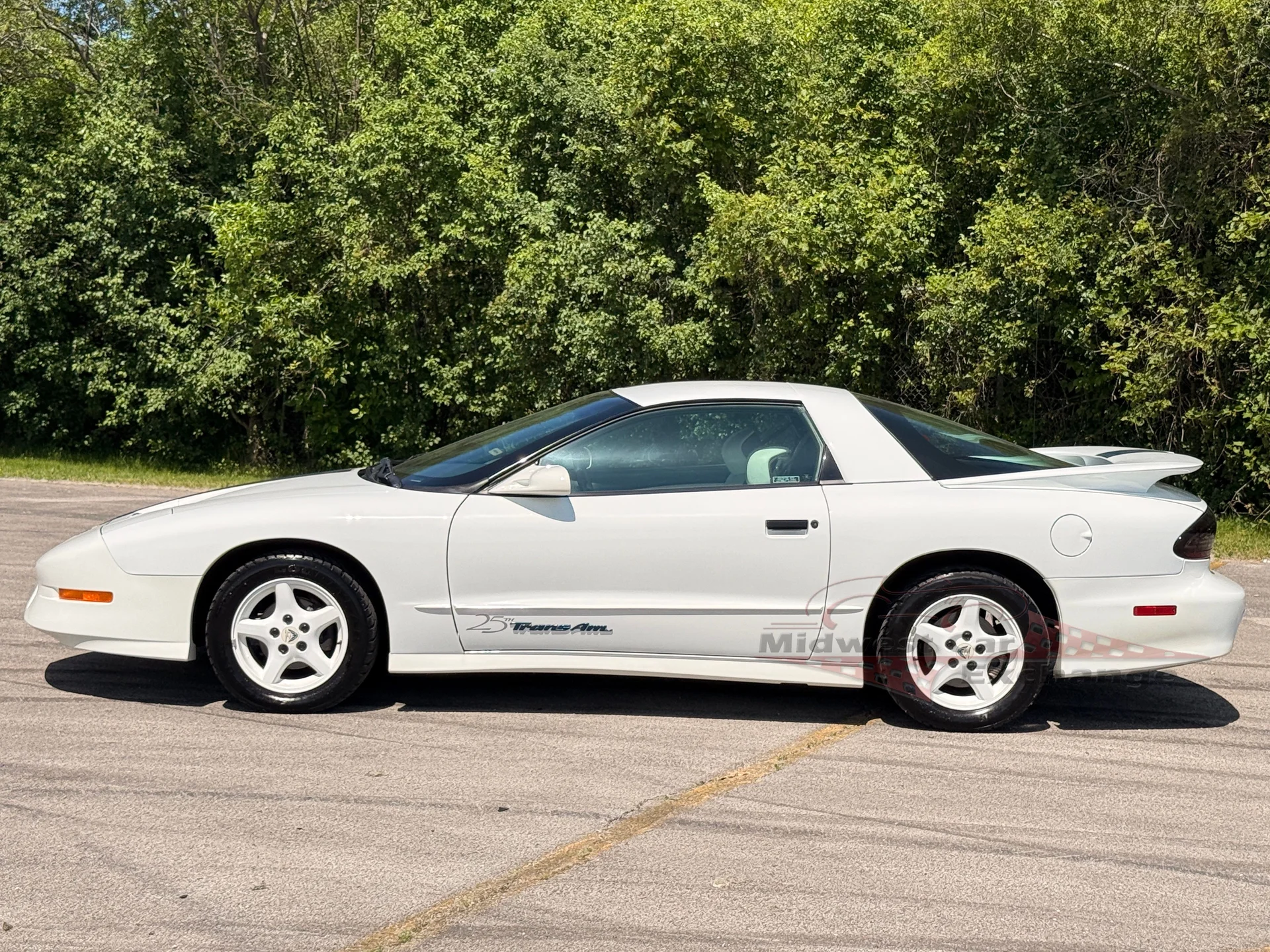 1994 Pontiac Firebird - Photo 9