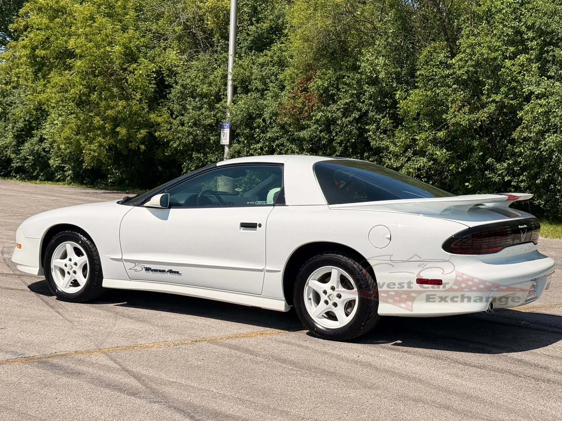 1994 Pontiac Firebird - Photo 13