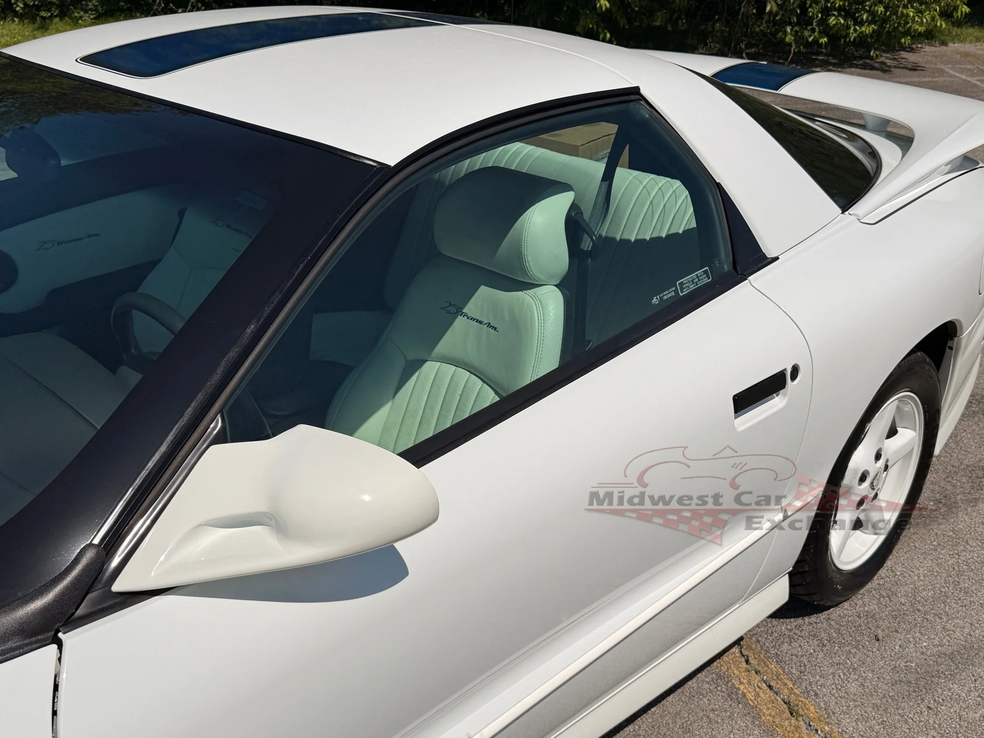 1994 Pontiac Firebird - Photo 18