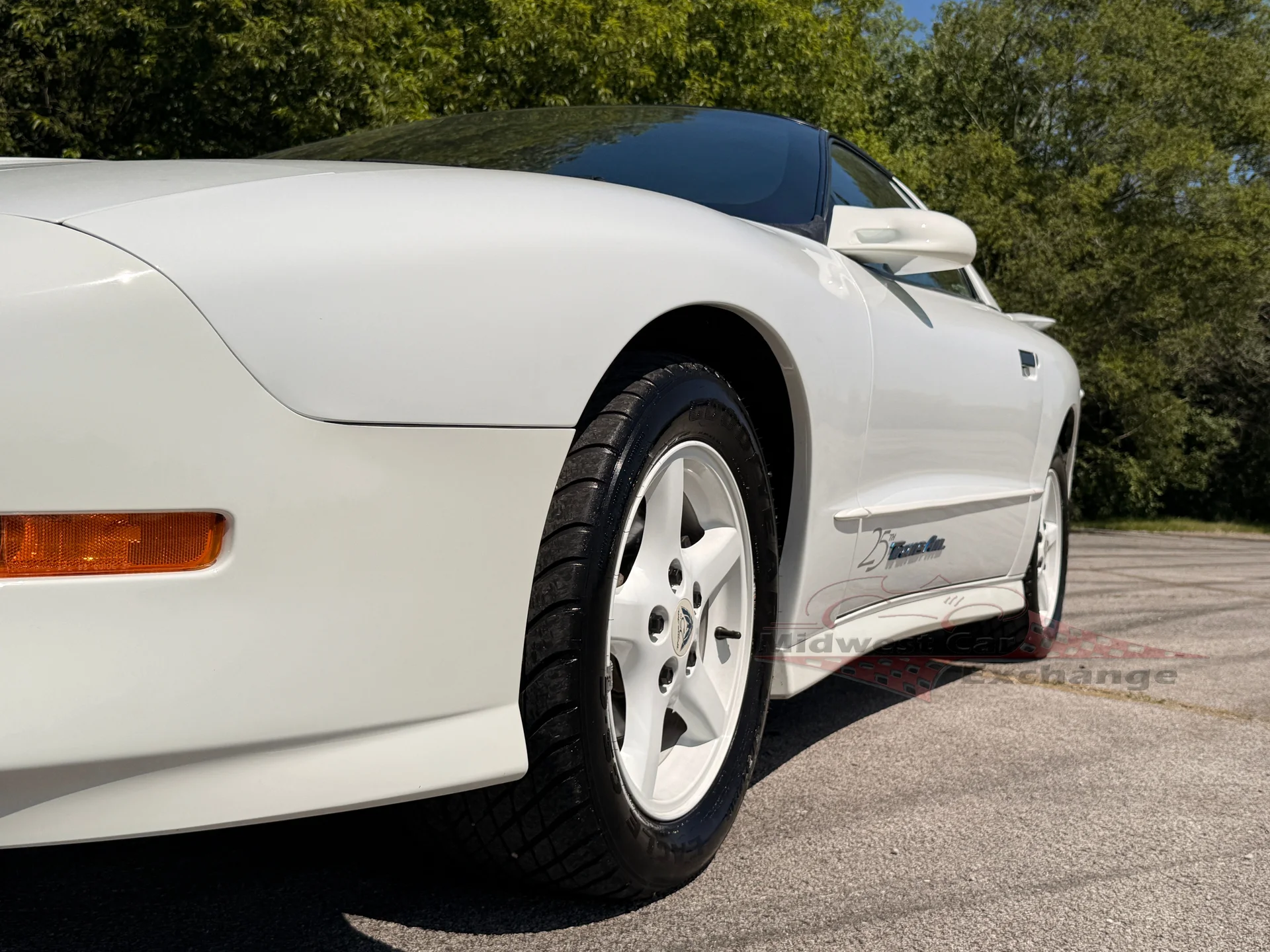 1994 Pontiac Firebird - Photo 25
