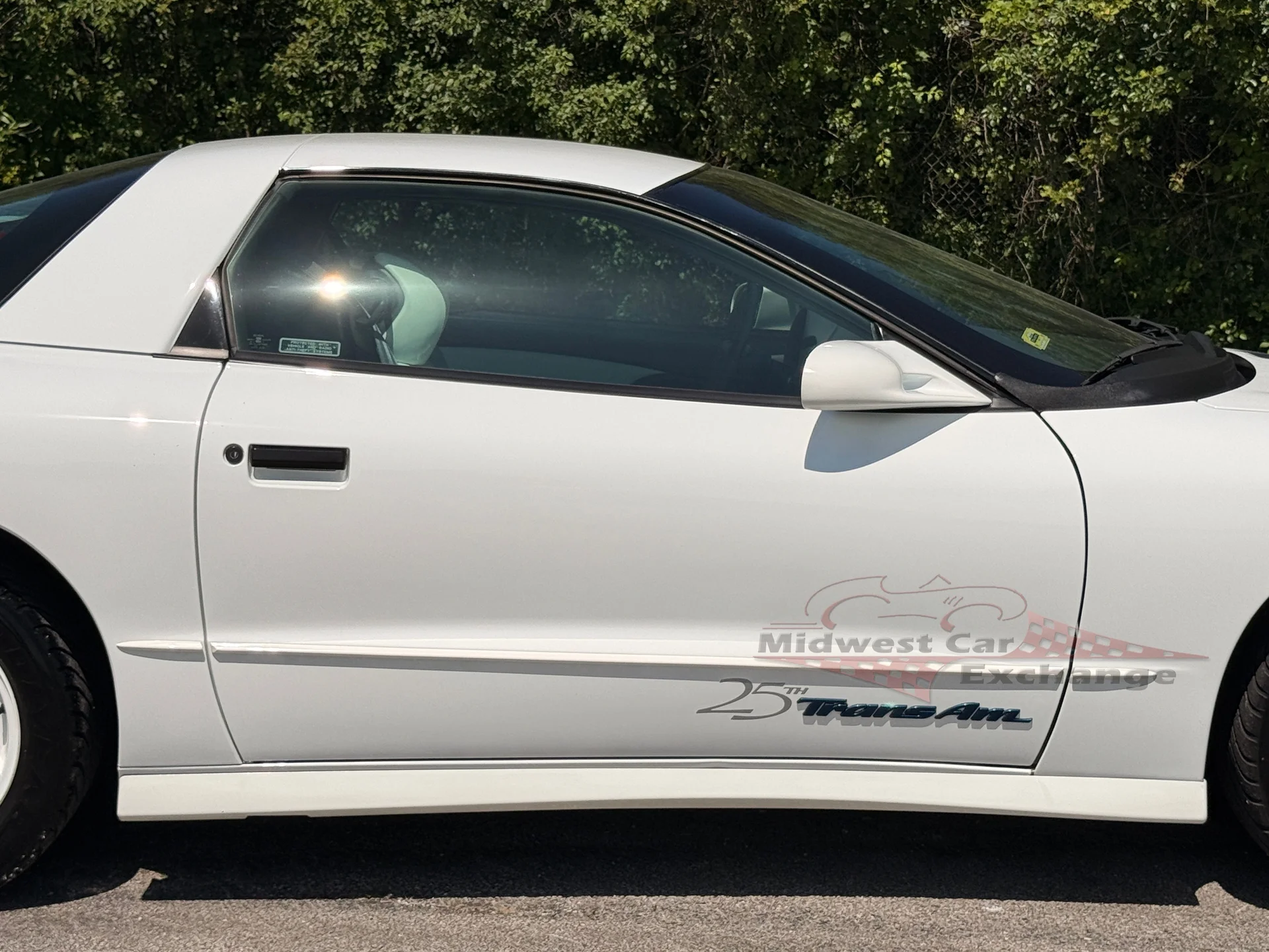 1994 Pontiac Firebird - Photo 30