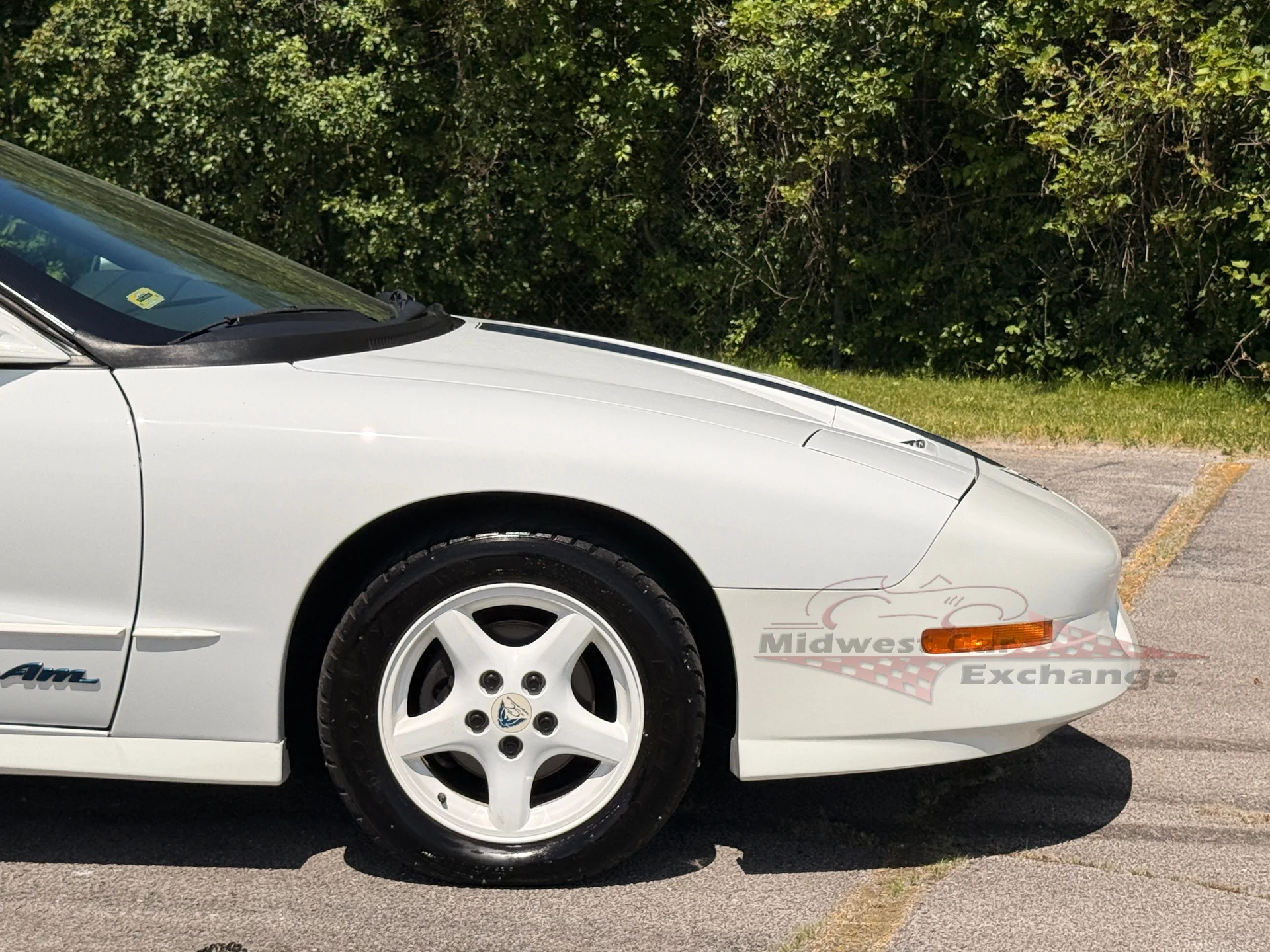 1994 Pontiac Firebird - Photo 31