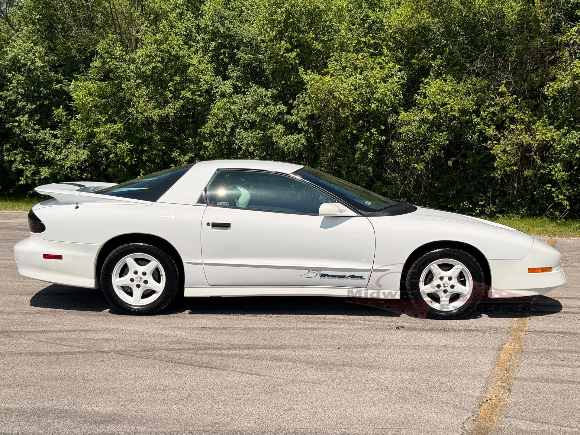 1994 Pontiac Firebird - Photo 28