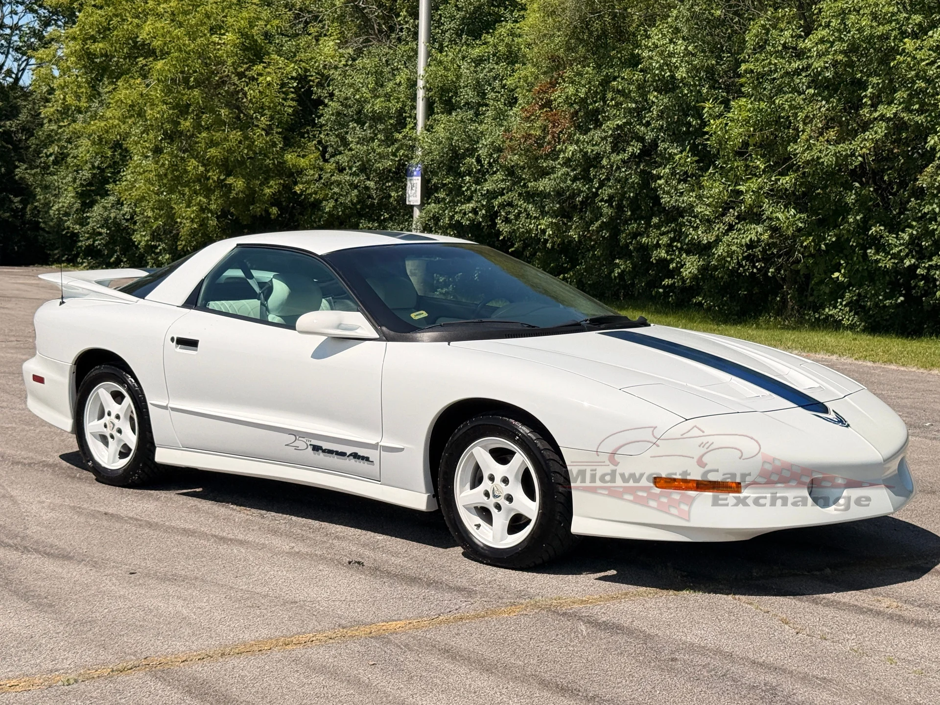 1994 Pontiac Firebird - Photo 32
