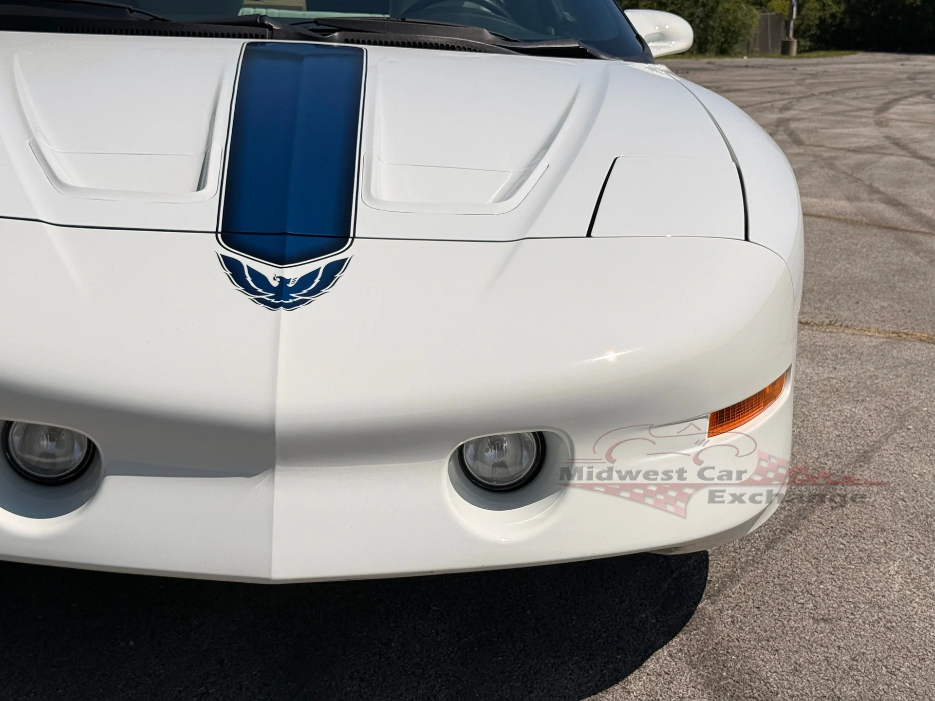 1994 Pontiac Firebird - Photo 41