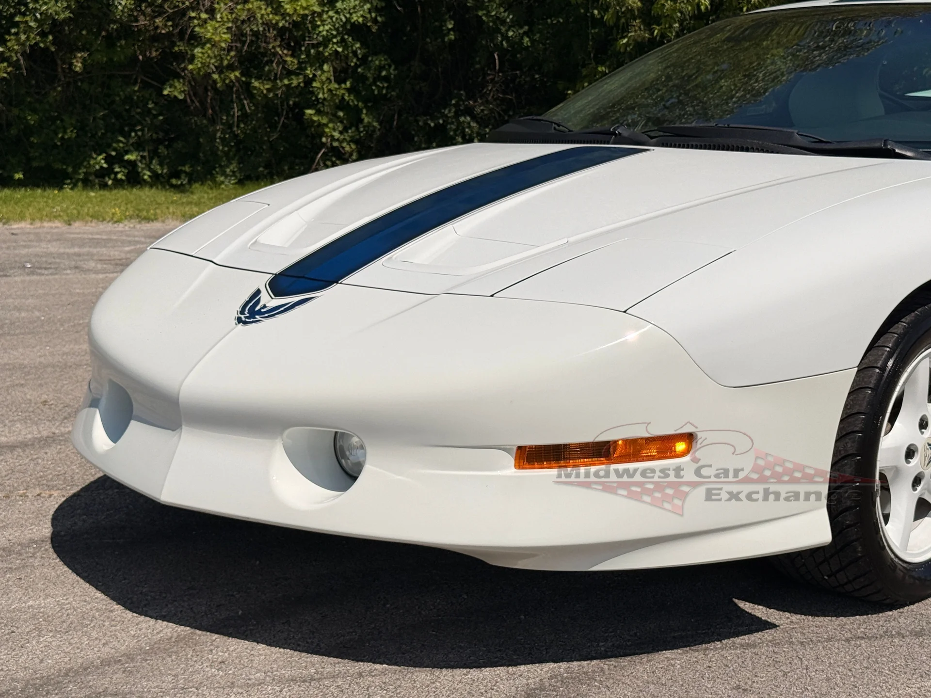 1994 Pontiac Firebird - Photo 43