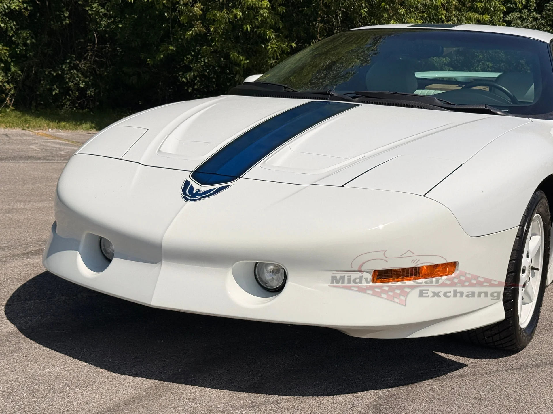 1994 Pontiac Firebird - Photo 42
