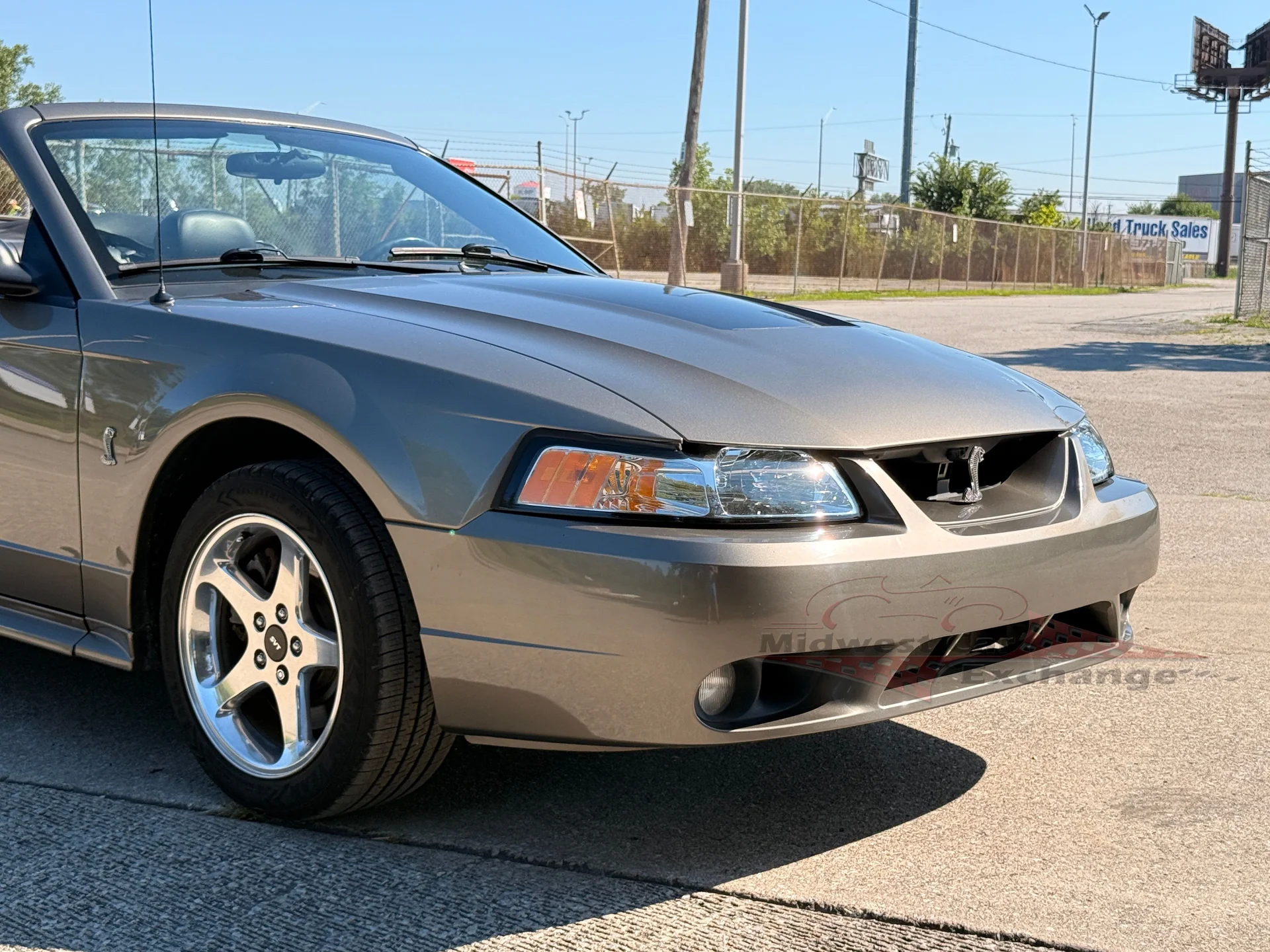2001 Ford Mustang Cobra SVT - Photo 29