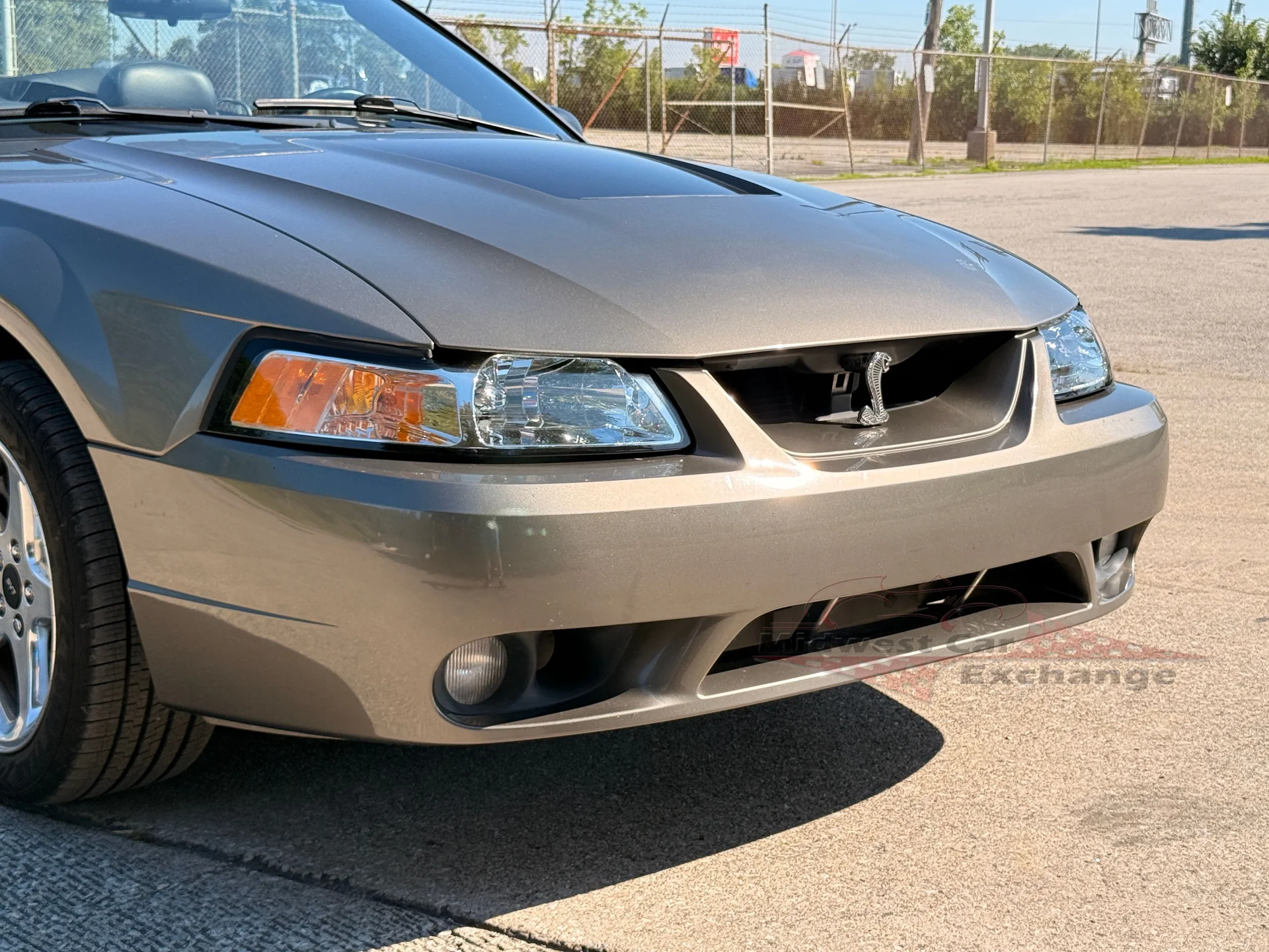 2001 Ford Mustang Cobra SVT - Photo 30