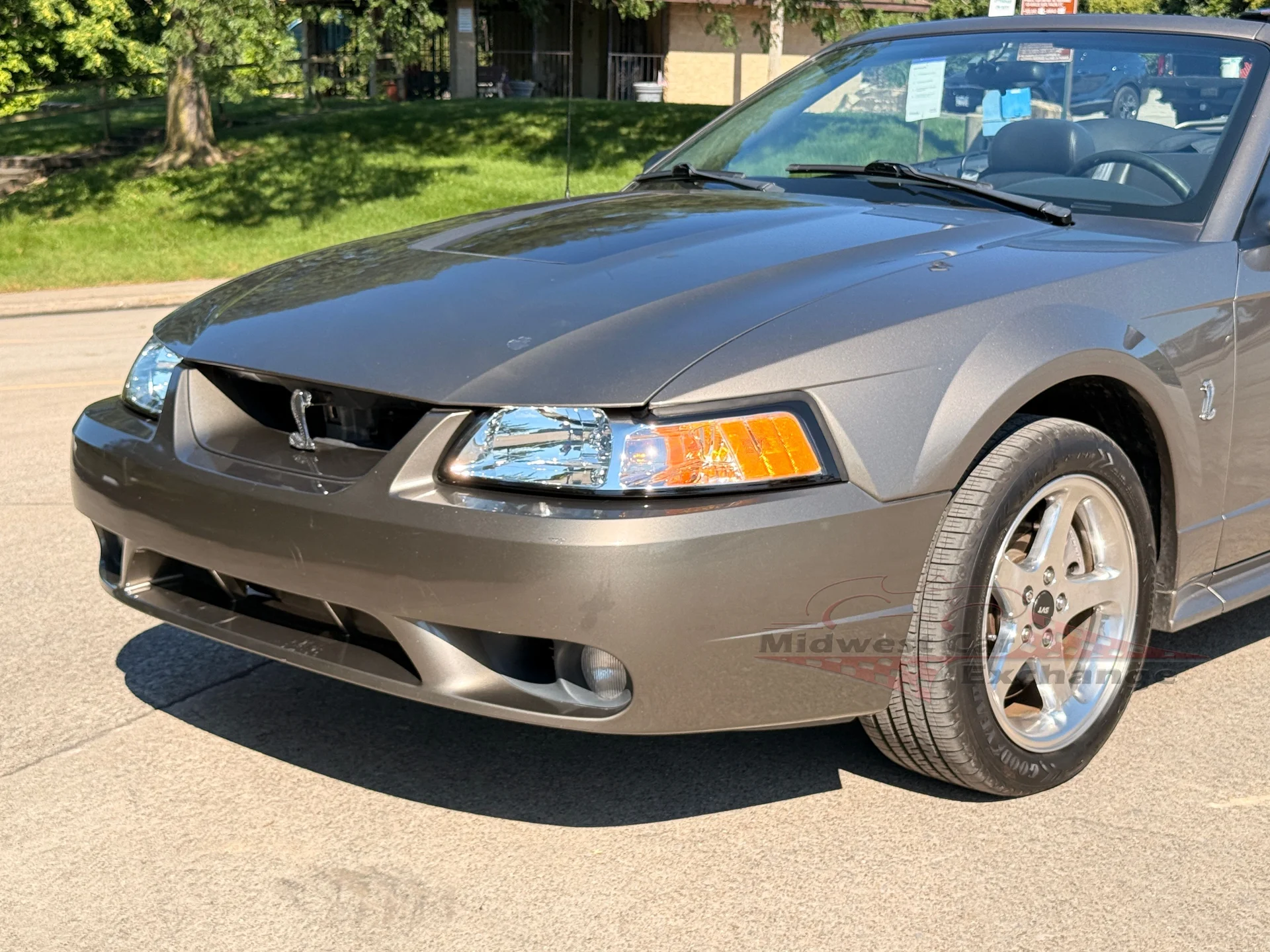 2001 Ford Mustang Cobra SVT - Photo 34