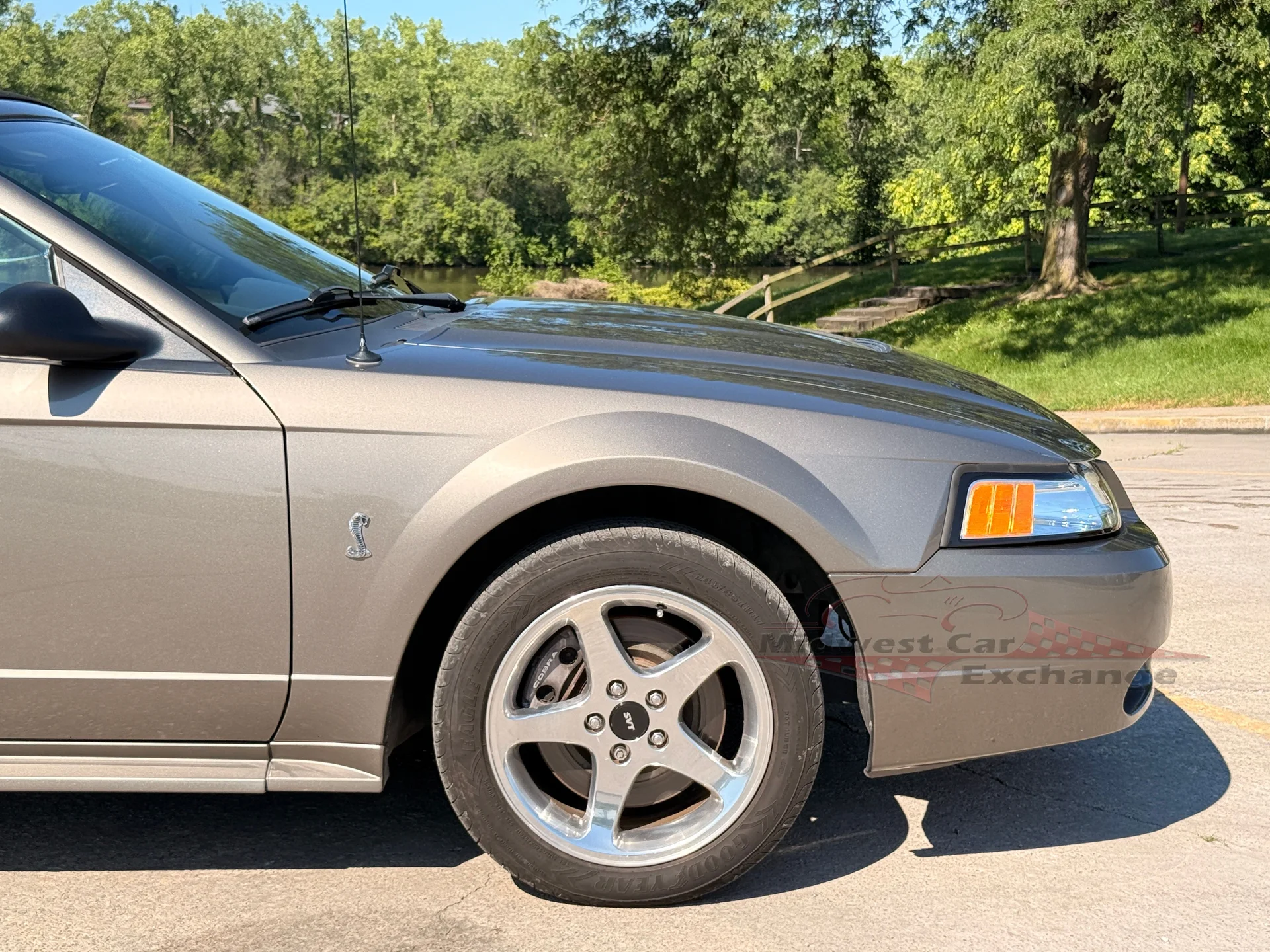 2001 Ford Mustang Cobra SVT - Photo 41